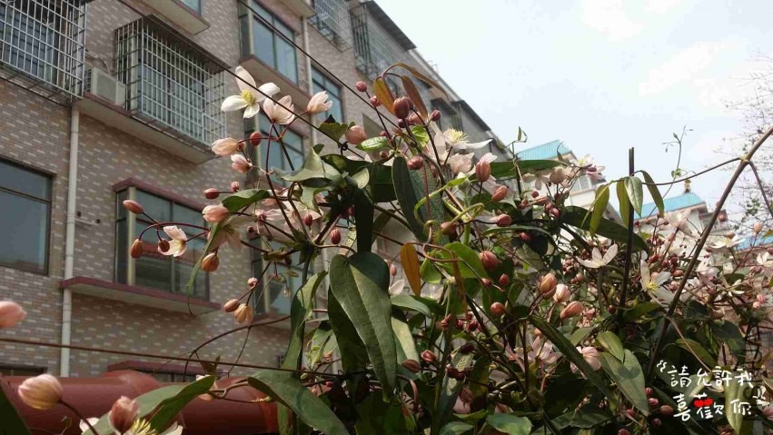 20140321_111849_����.jpg