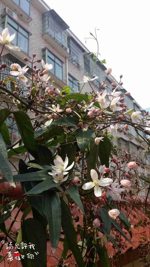 20140321_111859_����.jpg