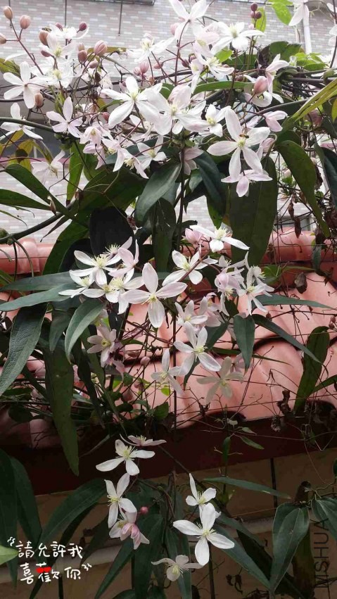 20140324_115218_����.jpg