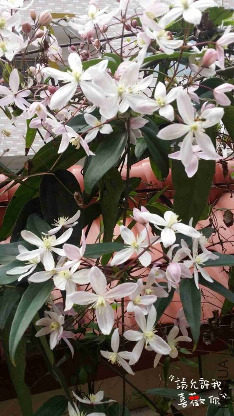 20140324_115223_����.jpg