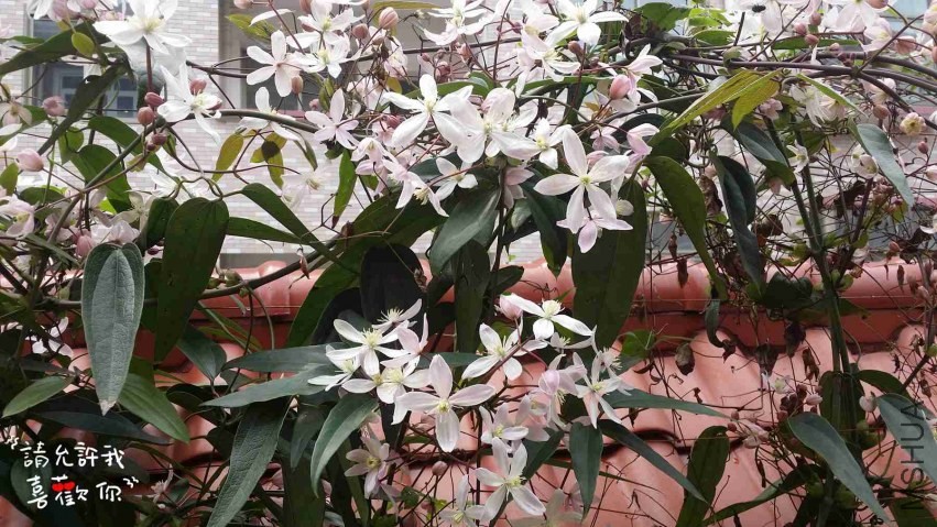 20140324_115232_����.jpg