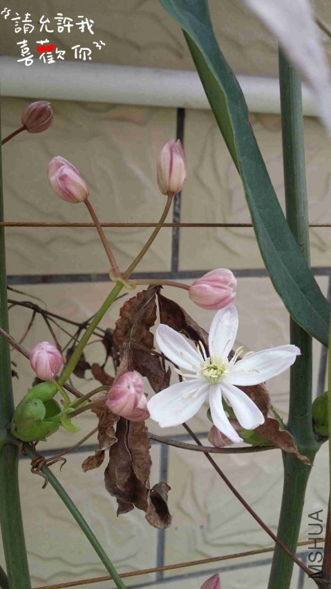 20140324_115239_����.jpg