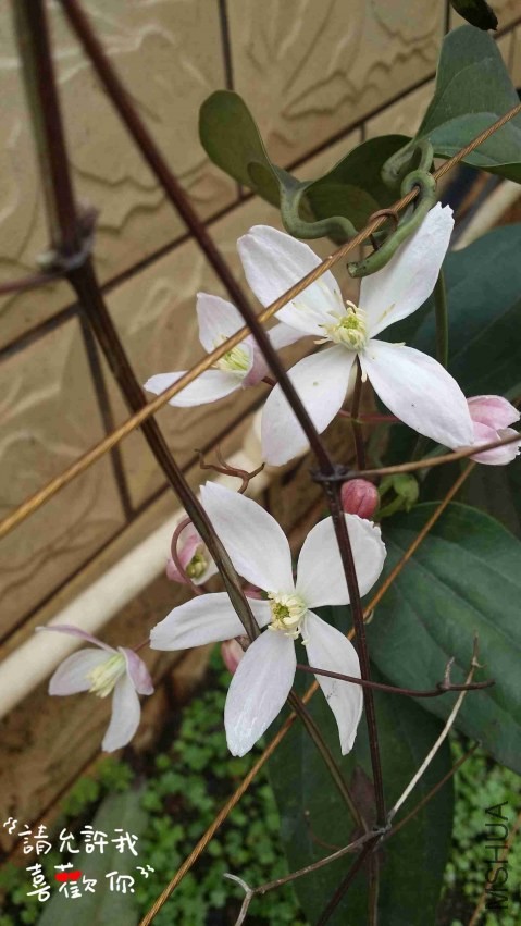20140324_115258_����.jpg