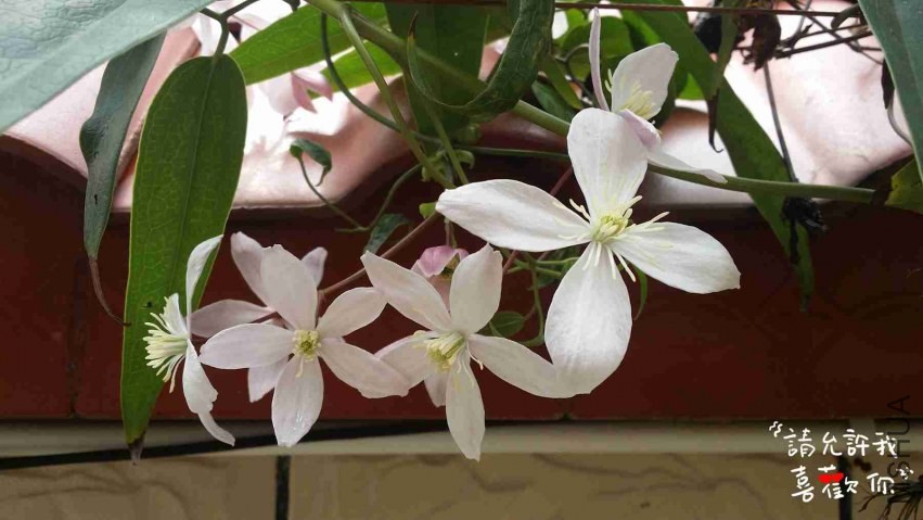20140324_115307_����.jpg