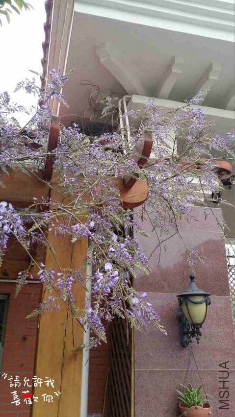 20140402_125729_����.jpg