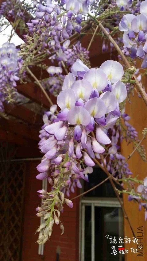 20140403_151122_����.jpg