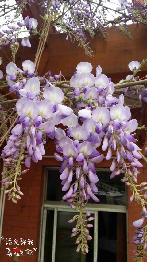 20140403_151129_����.jpg