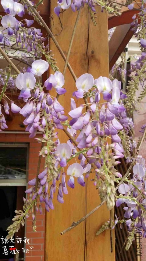 20140403_151133_����.jpg