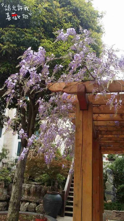 20140403_151704_����.jpg
