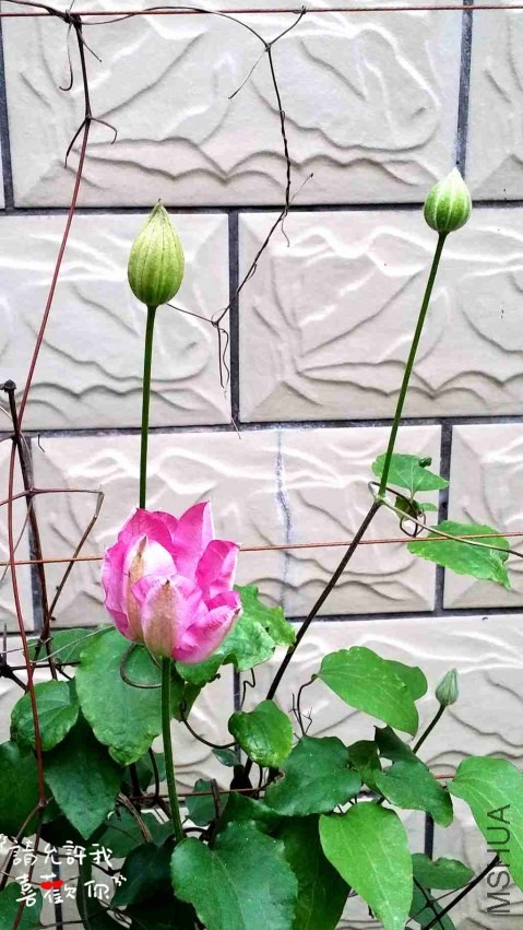 20140405_180946_����.jpg