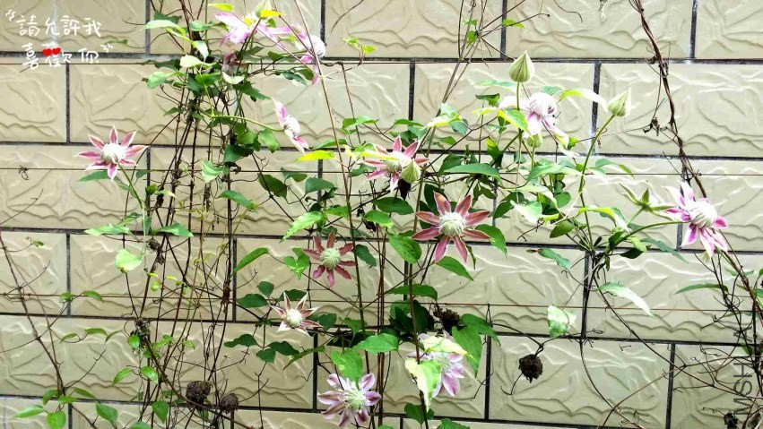 20140413_152508_����.jpg