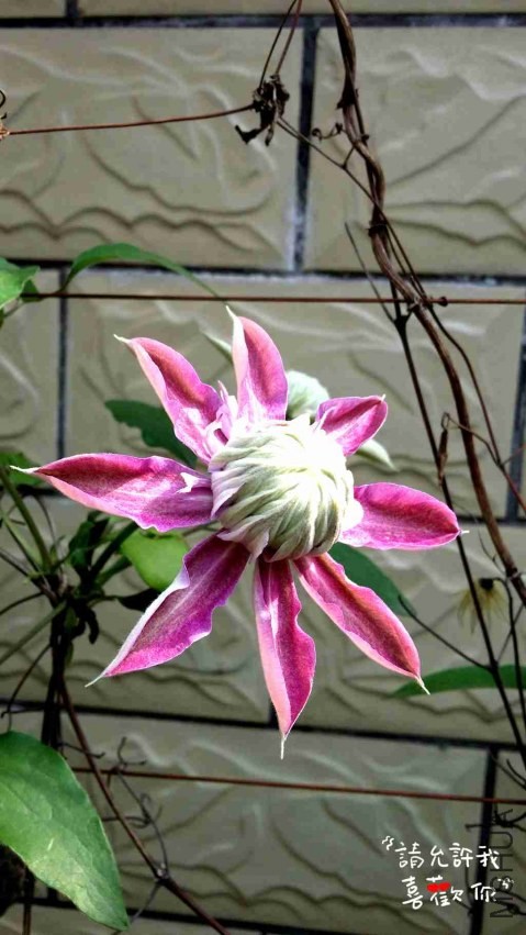 20140413_152516_����.jpg
