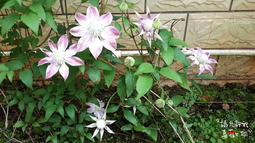 20140413_152529_����.jpg