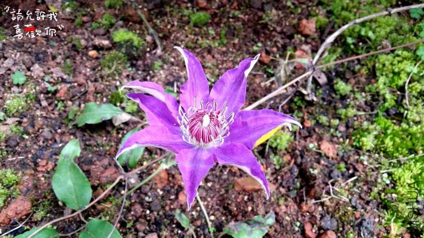 20140413_152544_����.jpg