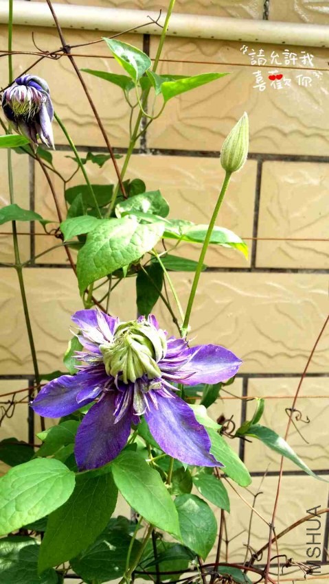 20140413_152601_����.jpg