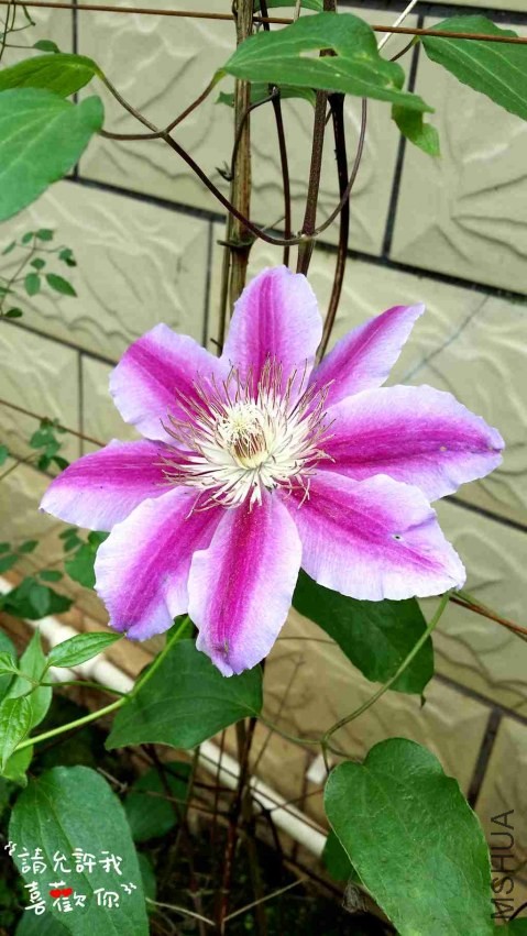 20140416_144846_����.jpg