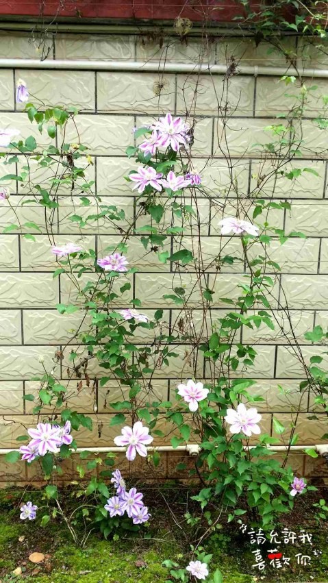 20140416_144904_����.jpg