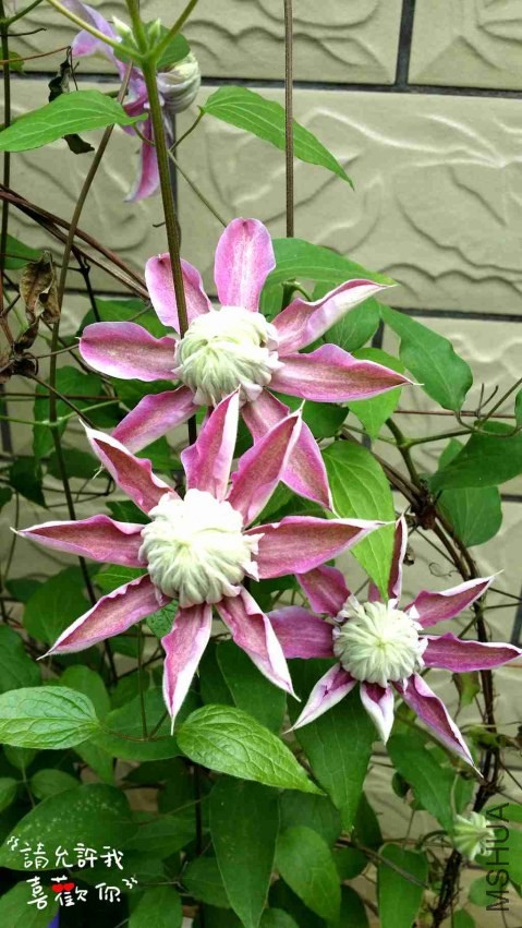 20140416_144911_����.jpg