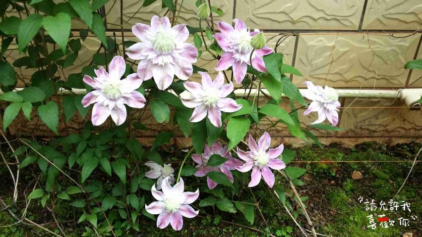 20140416_144917_����.jpg