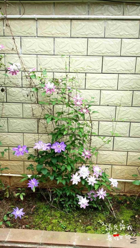 20140416_144922_����.jpg