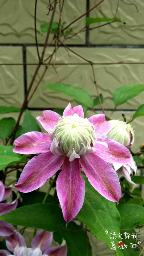 20140416_144928_����.jpg
