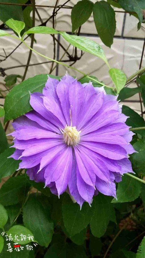 20140416_144942_����.jpg