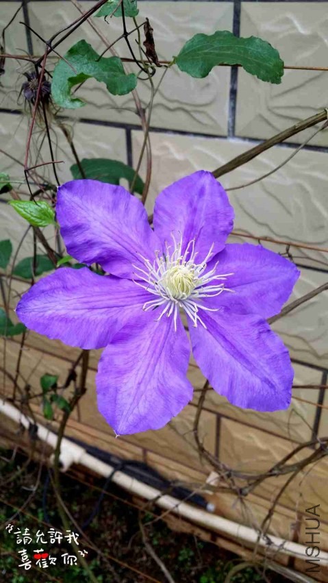 20140416_144953_����.jpg