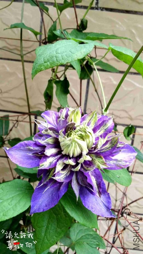 20140416_145000_����.jpg