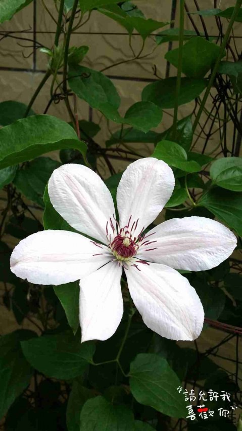 20140416_145004_����.jpg