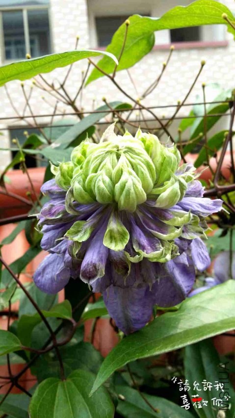 20140416_145016_����.jpg