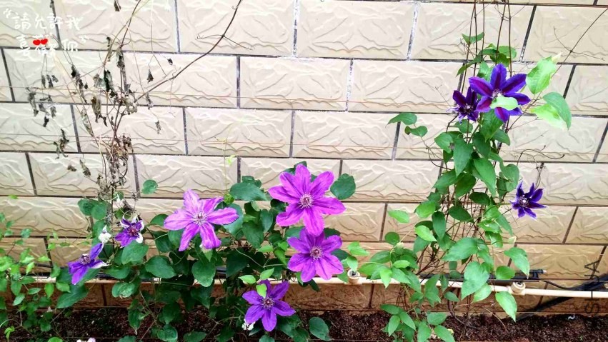 20140416_145024_����.jpg