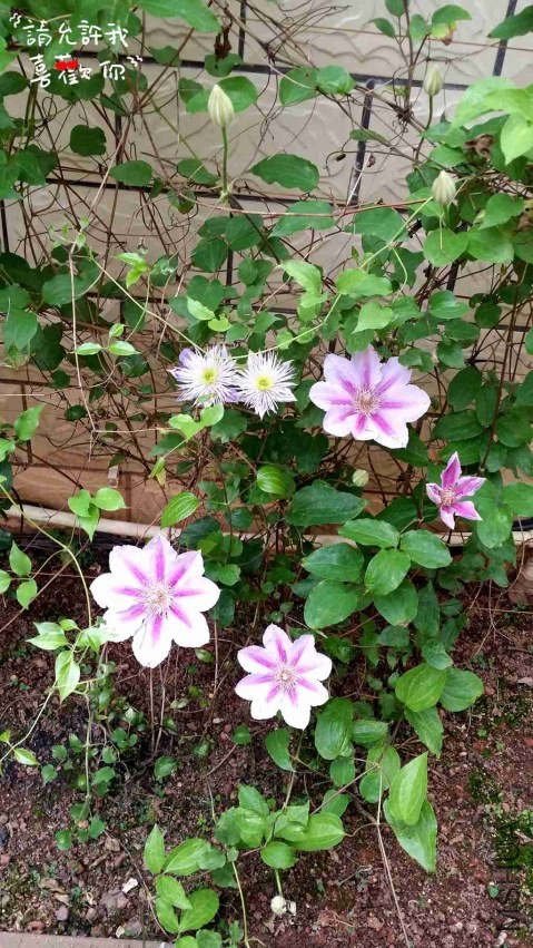 20140416_145040_����.jpg