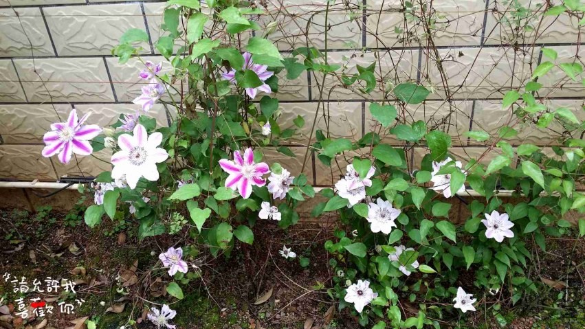 20140416_145048_����.jpg