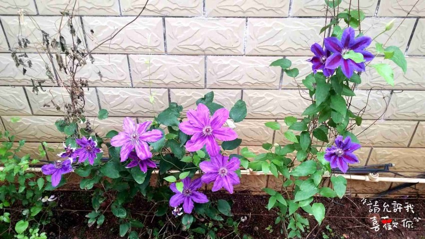20140417_114159_����.jpg