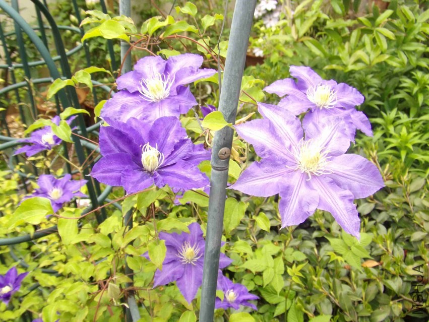 09.jpg