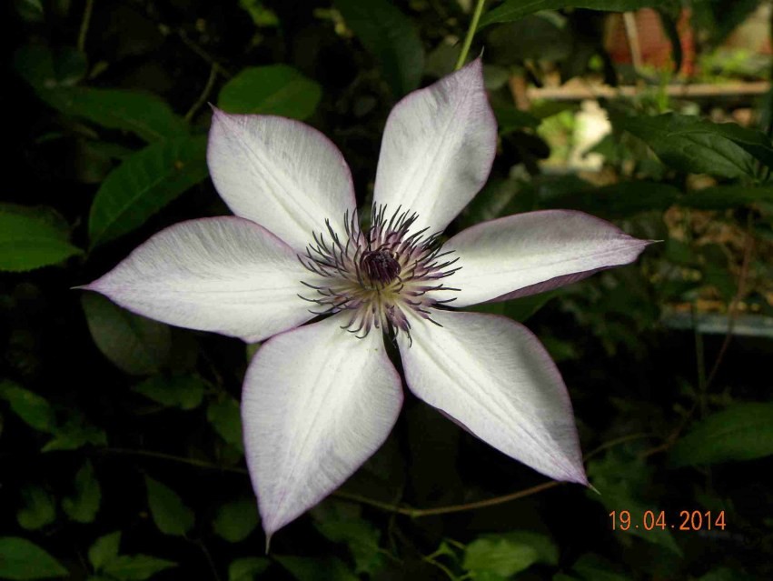 ���û���