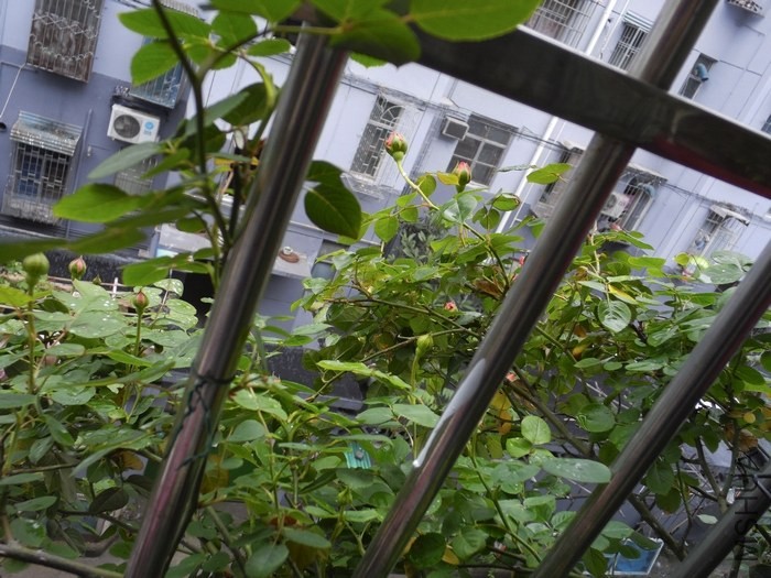 �¼���ʼ����