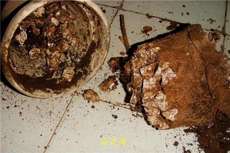 ���ݸ�02.jpg