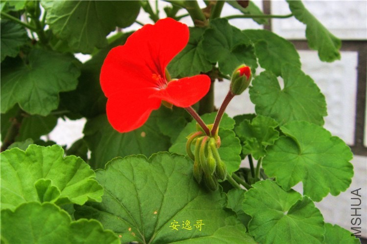 S73F4256.jpg