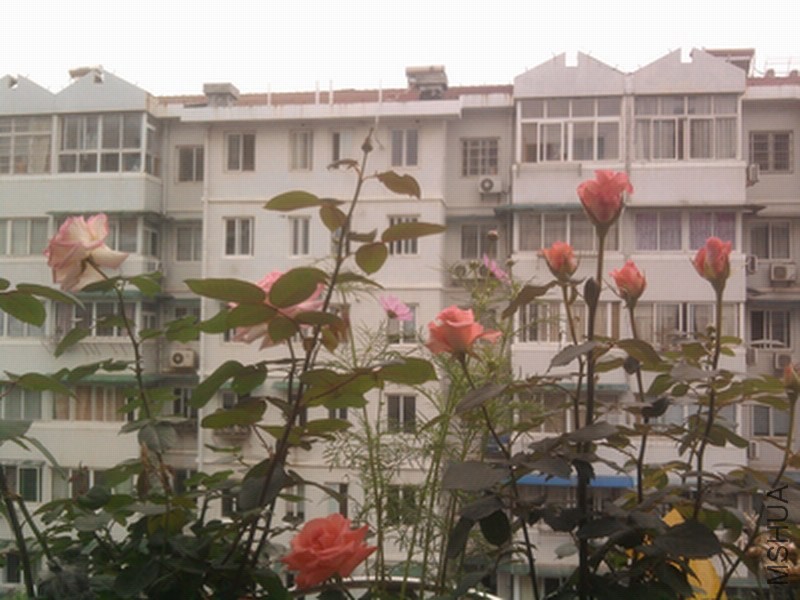 ��Ƭ0336.jpg