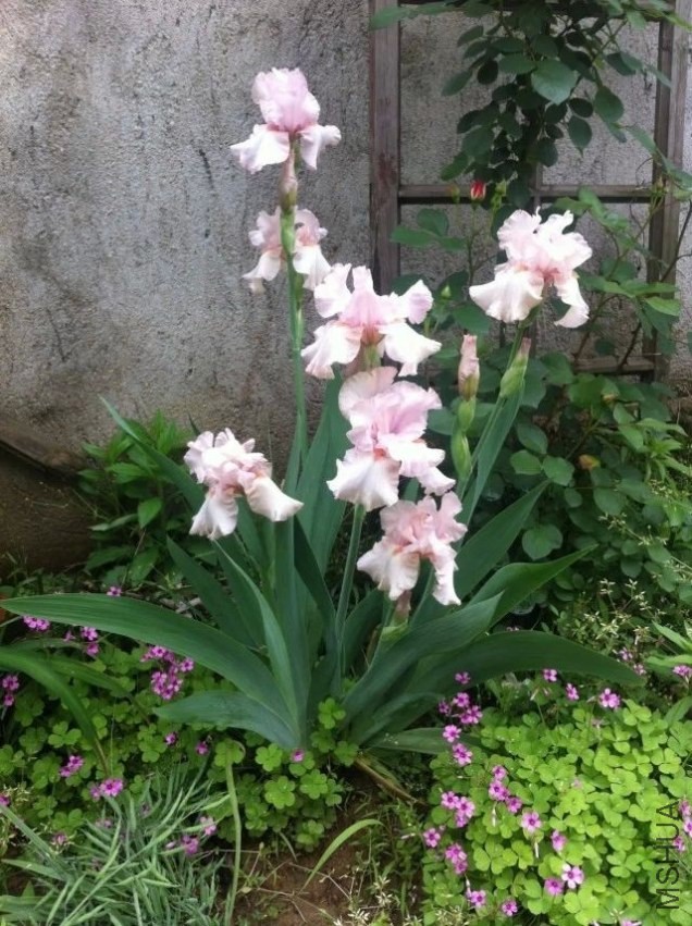 QQͼƬ20140420164400.jpg