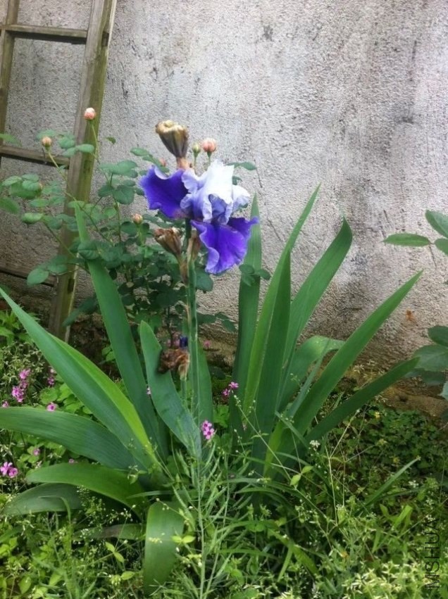 QQͼƬ20140420164404.jpg