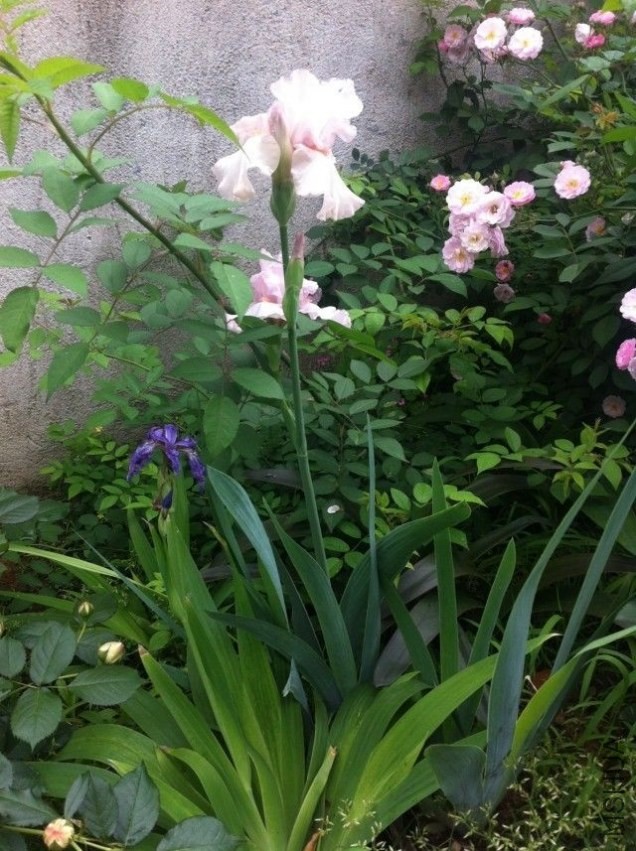 QQͼƬ20140420164415.jpg