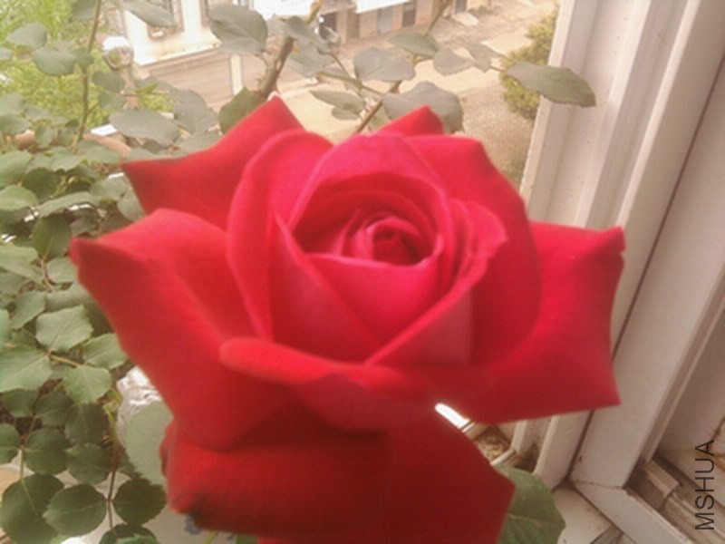 ��Ƭ0314.jpg