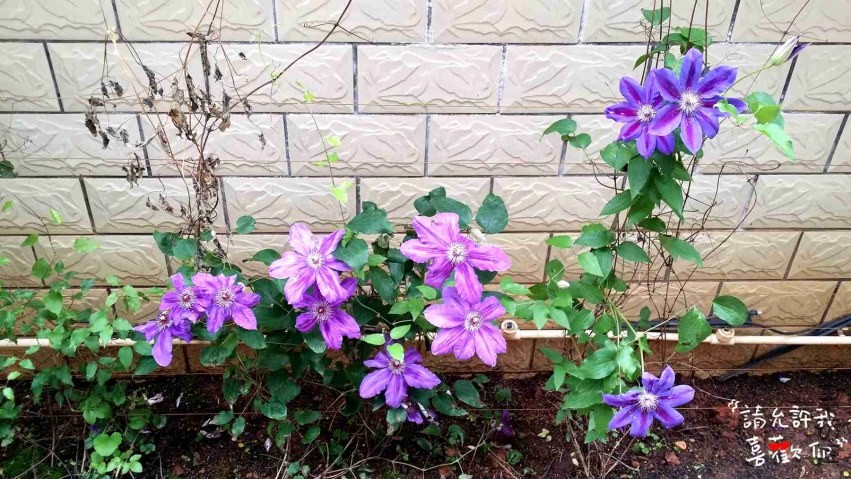 20140420_115928_����.jpg