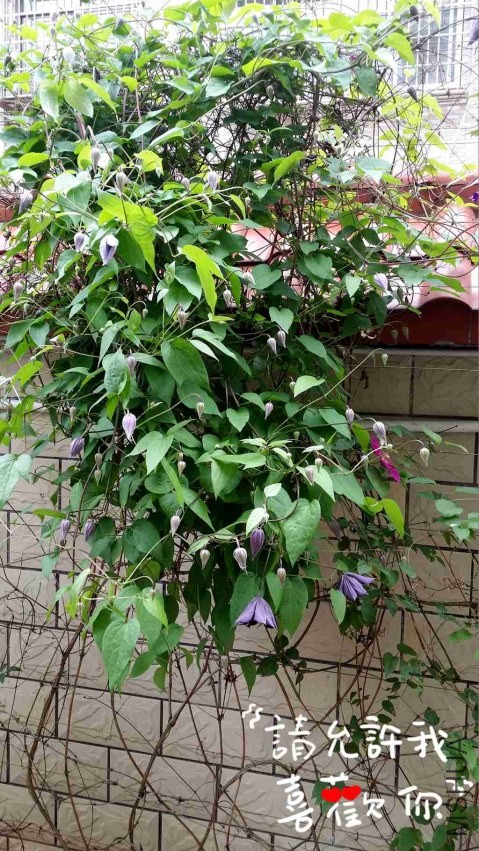 20140420_115939_����.jpg