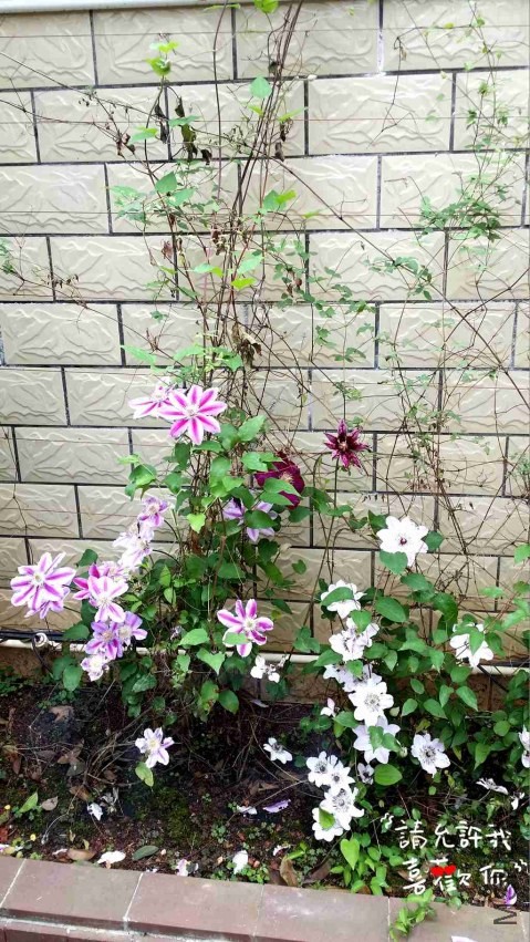 20140420_120002_����.jpg