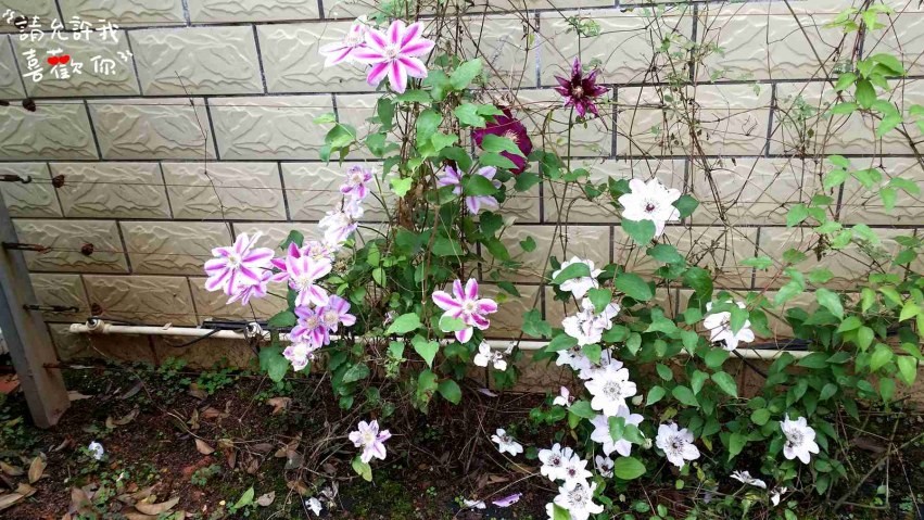 20140420_120008_����.jpg