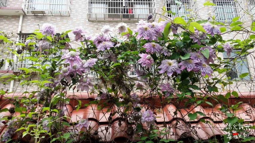 20140420_120020_����.jpg