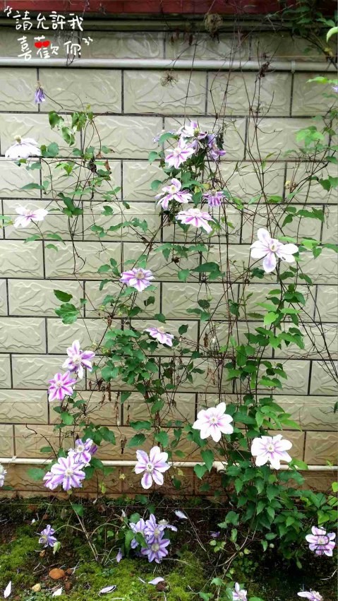 20140420_120135_����.jpg